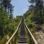 Hébergement de vacances 'de Groene Parel' *