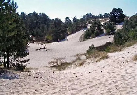 Prázdninový dům 'de Groene Parel' Schoorl