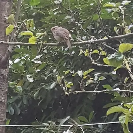 'de Groene Parel' Prázdninový dům *