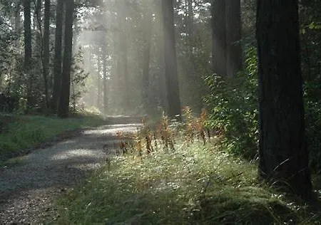 'de Groene Parel'